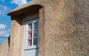Densole thatch roof disadvantages